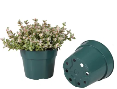 Flower pot